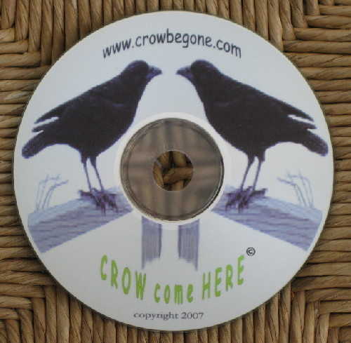 Crow come Here CD/mp3